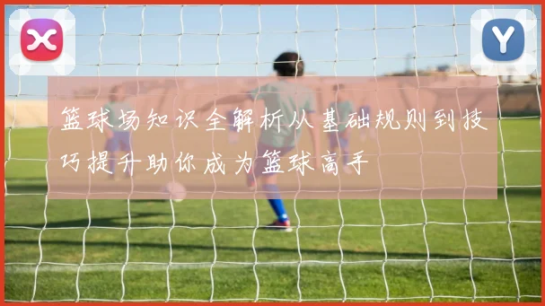 篮球场知识全解析从基础规则到技巧提升助你成为篮球高手