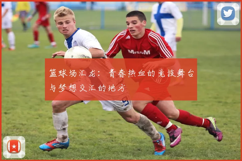 篮球场汇龙：青春热血的竞技舞台与梦想交汇的地方