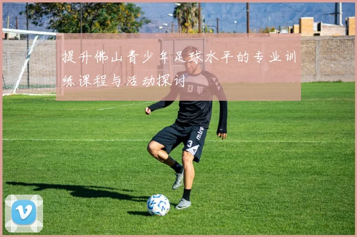 提升佛山青少年足球水平的专业训练课程与活动探讨