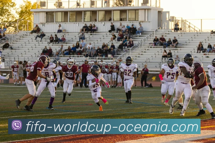 世界杯平台平台生态图